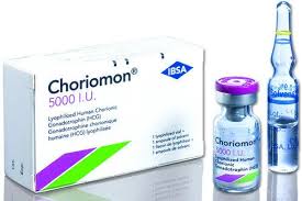 Choriomon